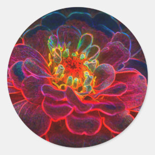 Sticker Rond Fleur d'art Abstrait de Zinnia