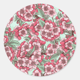 Sticker Rond Fleur de cerisier rose et menthe