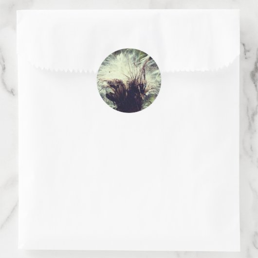 Sticker Rond Fleur de chardon (Sac)