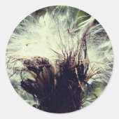 Sticker Rond Fleur de chardon (Devant)