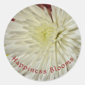 Sticker Rond Fleur de chrysanthème jaune pâle et blanc (Devant)