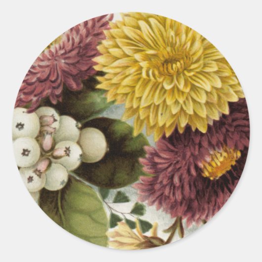 Sticker Rond Fleur de chrysanthème mère florale (Devant)