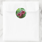 Sticker Rond Fleur de colibri et de trompette rouge (Sac)