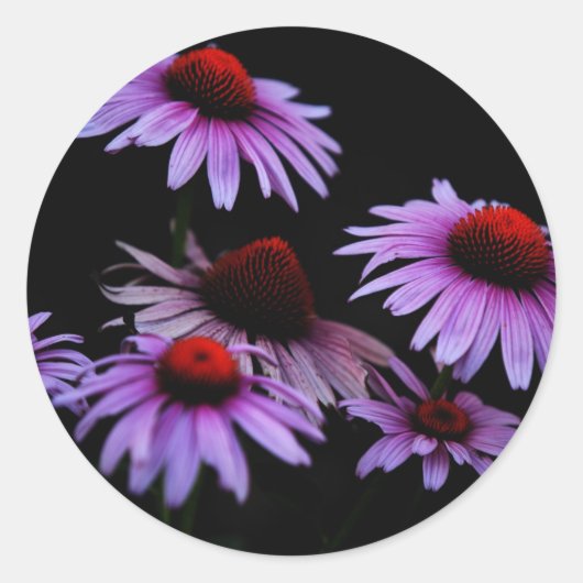 Sticker Rond Fleur de cône (Devant)
