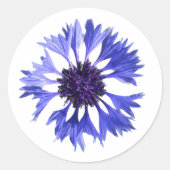 Sticker Rond Fleur de corail bleu (Devant)