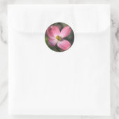 Sticker Rond Fleur de Dogwood rose (Sac)