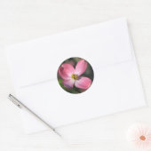 Sticker Rond Fleur de Dogwood rose (Enveloppe)