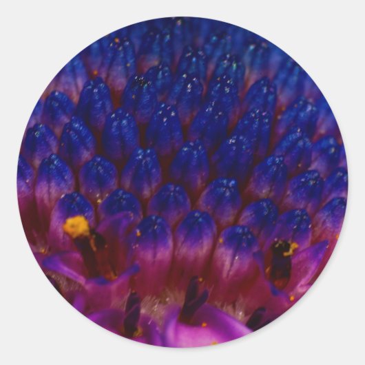 Sticker rond Fleur de Faisée Africaine (Devant)