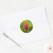 Sticker Rond Fleur de gingembre rouge (Alpinia) tropicale (Enveloppe)