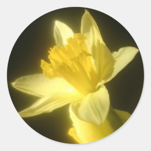 Sticker Rond Fleur de jonquille noire pour mariage