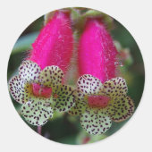 Sticker Rond Fleur de léopard (Devant)