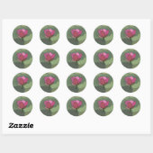 Sticker Rond Fleur de lotus rose  (Feuille)