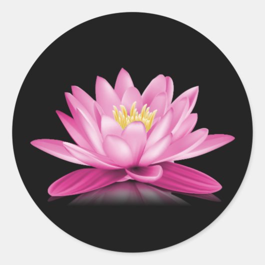 Sticker Rond Fleur de lotus rose chaud sur arrière - plan noir (Devant)