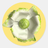 Sticker Rond Fleur de mariage d'été de jardin de floraison vert (Devant)