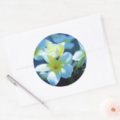 Sticker Rond fleur de plumeria (Enveloppe)