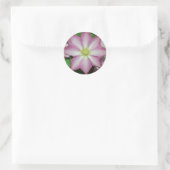 Sticker Rond Fleur de printemps Clematis rose et blanc (Sac)