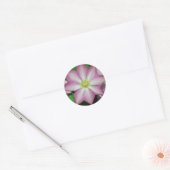 Sticker Rond Fleur de printemps Clematis rose et blanc (Enveloppe)