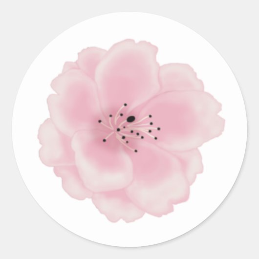 Sticker Rond Fleur de sakura rose. (Devant)