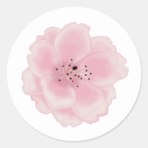 Sticker Rond Fleur de sakura rose.