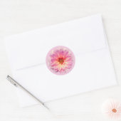 Sticker Rond Fleur de Zinnia rose (Enveloppe)