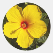 Sticker Rond Fleur d'Hibiscus jaune (Devant)