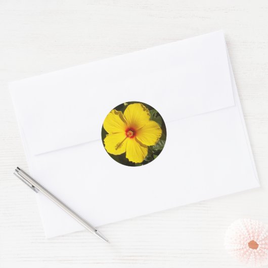 Sticker Rond Fleur d'Hibiscus jaune (Enveloppe)