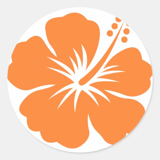 Sticker Rond Fleur d'hibiscus orange (Devant)