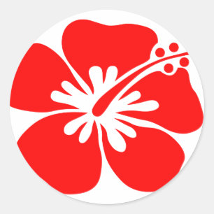 Sticker Rond Fleur d'hibiscus rouge
