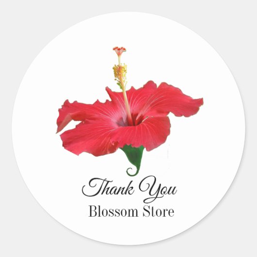 Sticker Rond Fleur d'Hibiscus rouge tropical (Devant)