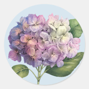 Sticker Rond Fleur d'hortensia