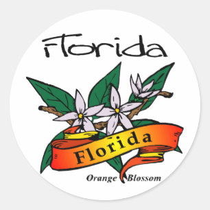 Sticker Rond Fleur d'orange de fleur d'état de la Floride