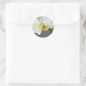 Sticker Rond Fleur d'orchidée blanche (Sac)