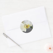 Sticker Rond Fleur d'orchidée blanche (Enveloppe)