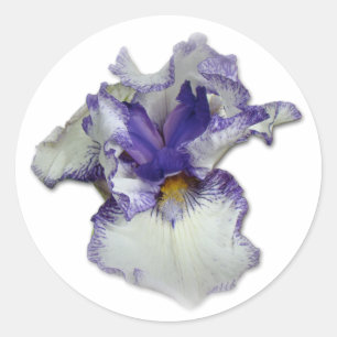 Sticker Rond Fleur Iris à fond bleu et blanc