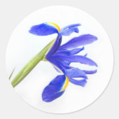 Sticker Rond Fleur Iris Violet (Devant)