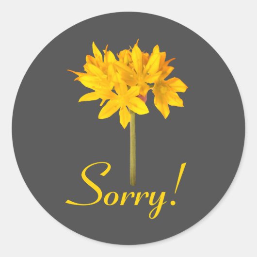 Sticker Rond Fleur jaune Désolé (Devant)