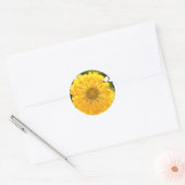 Sticker Rond Fleur jaune fleurie jaune marguerite jaune (Enveloppe)