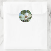 Sticker Rond Fleur Magnolia (Sac)