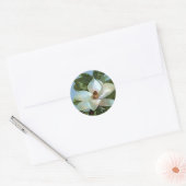 Sticker Rond Fleur Magnolia (Enveloppe)