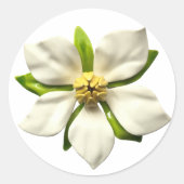 Sticker Rond Fleur Magnolia Blanche Fleur Printemps Mariage (Devant)