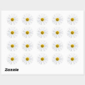 Sticker Rond Fleur marguerite (Feuille)