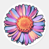 Sticker Rond Fleur mignonne violet rose bleu Boho Daisy Bisexua (Devant)