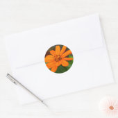 Sticker Rond Fleur orange (Enveloppe)