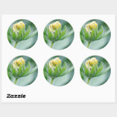 Sticker Rond Fleur ouverte de l'Echinacea (Feuille)