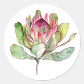 Sticker Rond Fleur Protea (Devant)