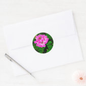 Sticker Rond Fleur rose (Enveloppe)