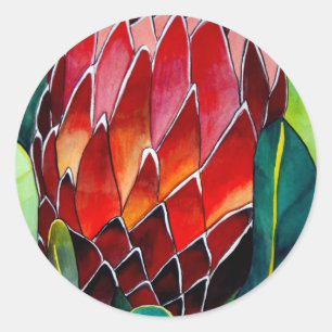 Sticker Rond Fleur rouge Protea art original aquarelle