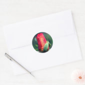Sticker Rond Fleur rouge Rosebud (Enveloppe)
