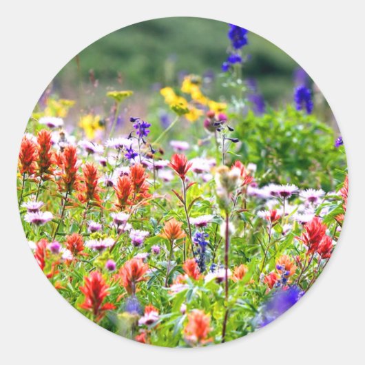 Sticker Rond Fleur sauvage (Devant)