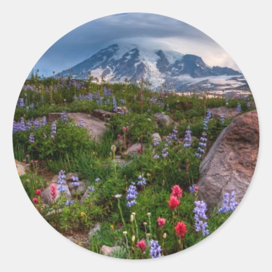Sticker Rond Fleur sauvage (Devant)